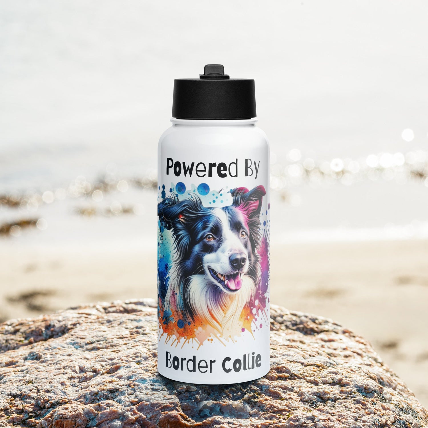 Stainless Steel Water Bottle